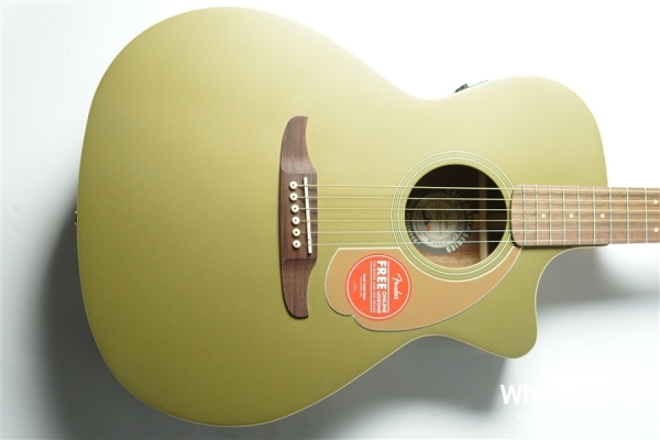 Newporter Player - Olive